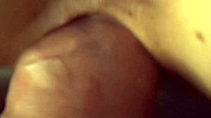 Detailed Doggy Style Penetration Captured on Macro Lens with Wet Hentai Action