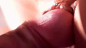 Detailed Doggy Style Penetration Captured on Macro Lens with Wet Hentai Action