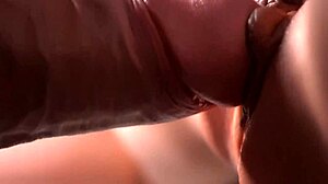 Detailed Doggy Style Penetration Captured on Macro Lens with Wet Hentai Action