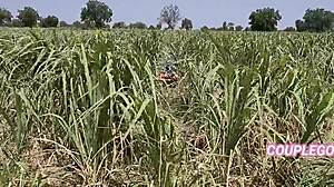 Комал поймали за писанием в поле, отвели домой для жёсткого траха.