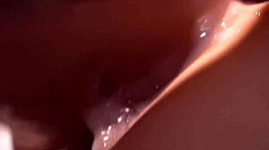 Detailed Doggy Style Penetration Captured on Macro Lens with Wet Hentai Action