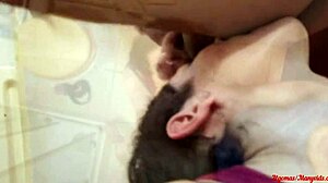 Horny Neighbor Sucks and Fucks My Cock Like a Pro