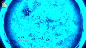 In the game Eternum 71, players explore vast worlds and engage in strategic battles.