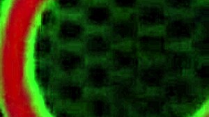 Sara Jay, den store patter cougar, malker en monster pik med hendes erfarne fisse