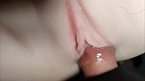 Aku Bosan Banget, Ayo Main Sama Boneka Imutku yang Kena Double! 😜