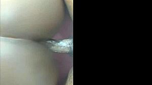 Boring day turns into raw fuck with freaky ebony latina sucking cock - Jhodez1.