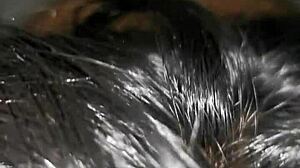 mexican beauty performs delicious oral sex, taking cum all over her beautiful face in intense scene