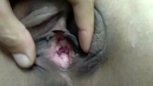 wild babe moans as monster cock stretches her wet ass