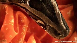 A Seductive Body To Make Different Man Seduce