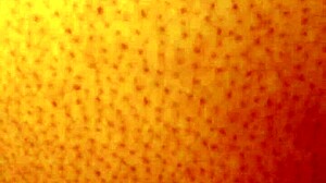 Dozier313 ass fucks the ebony bbw outdoors until creampie