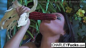 Charley Chase Cums Hard All Over During Solo Masturbation with Big Tits