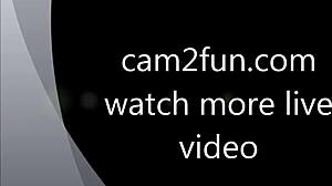Watch free webcam footage