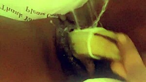 Fresh Veggie Delights!