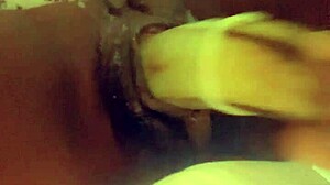 Fresh Veggie Delights!