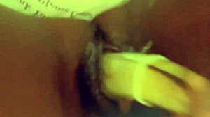 Fresh Veggie Delights!