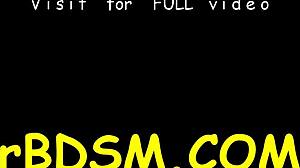 Sexy Slaves DELIGHTING in Hardcore Action