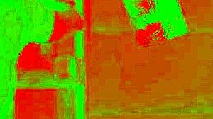 Steamy Anal Threesome with Hot Models Amirah Adara and Rebecca Volpetti!