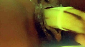 Fresh Veggie Delights!