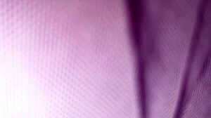 Wife's Tight Ass Anal in Swing