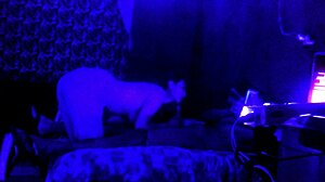 Swallowing Brother-In-Law's Cock at Night!