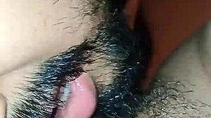 Extracting Sweet Nectar from My Gordagolosa776