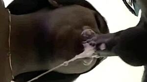 perfectly sucked blowjob from girl next door