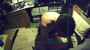 hubby fucks me good in doggystyle