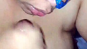 tomando leite de pica