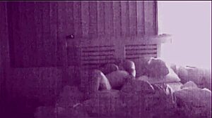 Amateur couple fucks loudly with moaning.