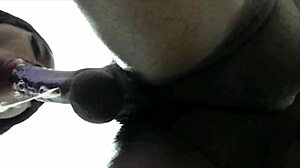 perfectly sucked blowjob from girl next door