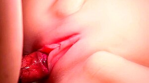 Pink Smooth Vagina Toyed Hard, Oh Yeah!