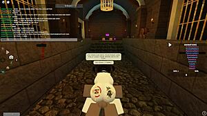 exploring roblox worlds in new zealand