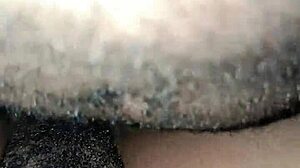 Vau, kuinka kuuma tämä pieni 18+ ebony-tyttö karvaisella pillulla on saadessaan panemista?