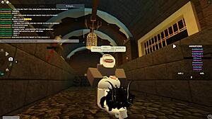 exploring roblox worlds in new zealand
