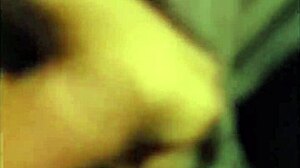 เฮ้ 来看สาวเอเชียข้างบ้านกัน!