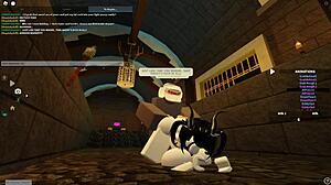 exploring roblox worlds in new zealand