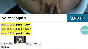 shuakbeugvd jkshv web chat session