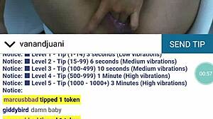 shuakbeugvd jkshv web chat session