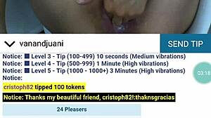 shuakbeugvd jkshv web chat session