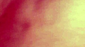 i'm sundaydogood614 sharing update 366 from jul 30 2024