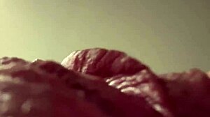 Compilation Videos from My Personal Phone