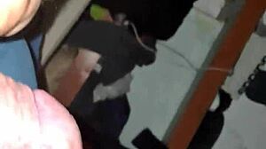 Birthday Surprise with Exhibitionist Flashing