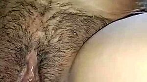 Feeling the passion in Lilli Hale's slutty compilation