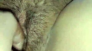 Känner passionen i Lilli Hales horiga samling