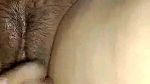 Feeling the passion in Lilli Hale's slutty compilation