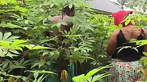 Softkind Bangs Stepmom from Behind in Bush