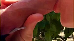 Hot Wife Delivers Amazing Public Blowjob in Daring Outdoor Scene.