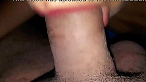 Aku Suka Pelacur Latina Susy Ni Dengan Bibir Mamadornya Bagi Hisapan Zakar Kaya, Dia Ketagih Batang