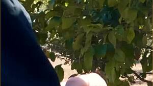 Hot Wife Delivers Amazing Public Blowjob in Daring Outdoor Scene.