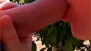 Hot Wife Delivers Amazing Public Blowjob in Daring Outdoor Scene.